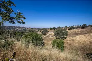 34141 Bronco, Squaw Valley, CA 93675 - Photo 69