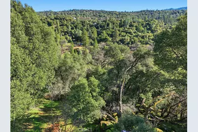 39309 Forest Park Lane, Oakhurst, CA 93644 - Photo 5