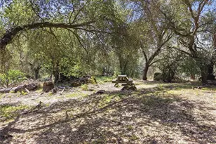 42704 Deep Forest, Coarsegold, CA 93614 - Photo 49
