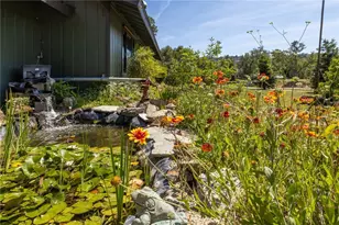 31477 Erie, Coarsegold, CA 93614 - Photo 47