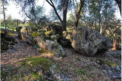 45695 Lauri Lane, Ahwahnee, CA 93644 - Photo 47
