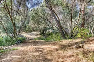 43867 Trabuco Ct, Coarsegold, CA 93614 - Photo 15