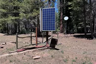 10 Beasore Rd, Bass Lake, CA 93604 - Photo 41