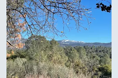 43016 Sunshine Mountain, Oakhurst, CA 93644 - Photo 65