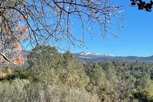 43016 Sunshine Mountain, Oakhurst, CA 93644 - Photo 65