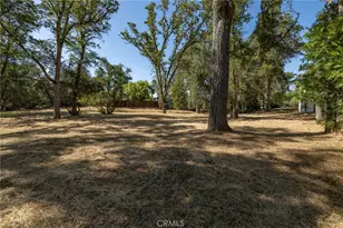 48866 Rock Point Rd, Oakhurst, CA 93644 - Photo 41