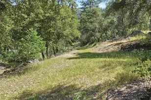34018 Peckinpah Acres, North Fork, CA 93643 - Photo 53