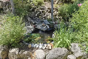 34018 Peckinpah Acres, North Fork, CA 93643 - Photo 43