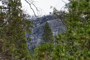 8041 Chilnualna Falls, Wawona, CA 95389 - Photo 43
