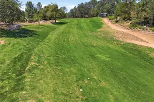 42781 Badger Cir Dr, Coarsegold, CA 93614 - Photo 47