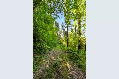 0 Ca-245, Miramonte, CA 93641 - Photo 31