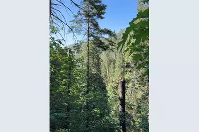 0 Ca-245, Miramonte, CA 93641 - Photo 41