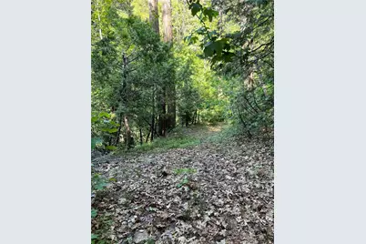 0 Ca-245, Miramonte, CA 93641 - Photo 27