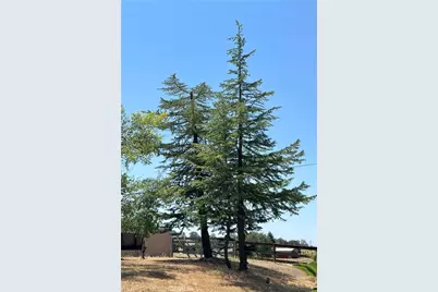 32644 Quail, Squaw Valley, CA 93675 - Photo 21