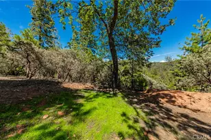 53235 Finegold Creek Ct, North Fork, CA 93643 - Photo 47