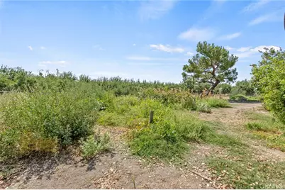 16565 Lacey Boulevard, Lemoore, CA 93245 - Photo 39