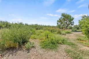 16565 Lacey Blvd, Lemoore, CA 93245 - Photo 39