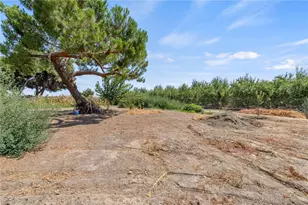 16565 Lacey Blvd, Lemoore, CA 93245 - Photo 29