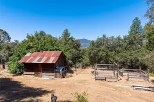 40528 Jean, Oakhurst, CA 93644 - Photo 39