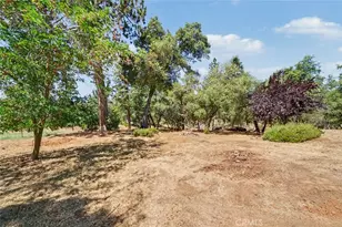 5627 Buckskin Rd, Mariposa, CA 95338 - Photo 21