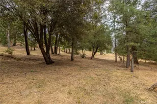 5655 Harris Cut Off, Mariposa, CA 95338 - Photo 49