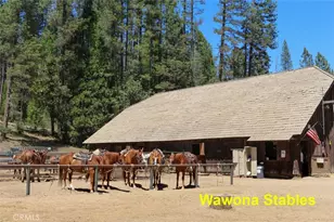2629 Mariposa, Wawona, CA 95389 - Photo 35