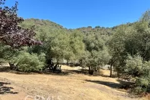 50294 Chuckwagon, Squaw Valley, CA 93675 - Photo 49