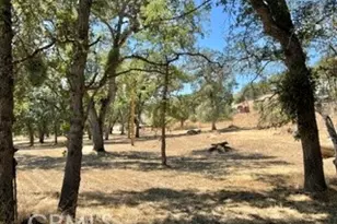 50294 Chuckwagon, Squaw Valley, CA 93675 - Photo 45