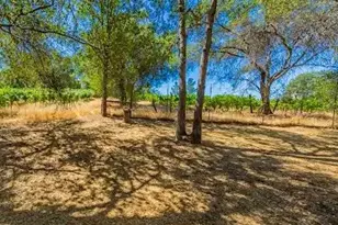 49610 House Ranch, O'Neals, CA 93645 - Photo 19