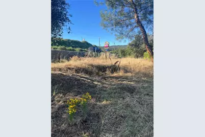 45990 Hawk Lane, Coarsegold, CA 93614 - Photo 3