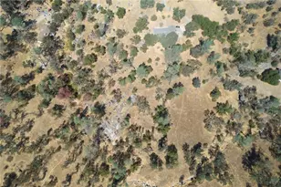 29703 Corral Ct, Coarsegold, CA 93614 - Photo 49