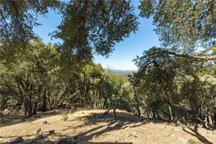 51300 Buckskin, Oakhurst, CA 93644 - Photo 27