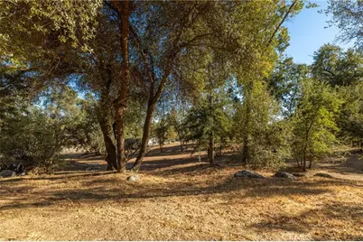 58208 Road 601, Ahwahnee, CA 93601 - Photo 59