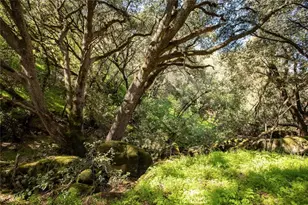 44981 Todd Eymann Rd, Miramonte, CA 93641 - Photo 25