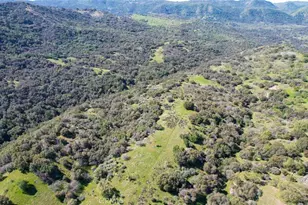 44981 Todd Eymann Rd, Miramonte, CA 93641 - Photo 55