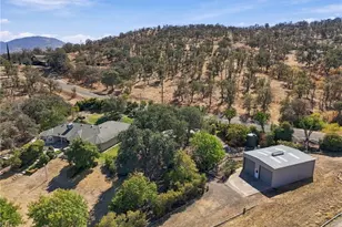 33378 Puma, Squaw Valley, CA 93675 - Photo 59