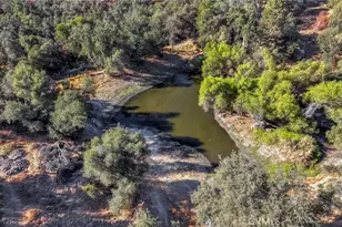 43980 Hwy 49, Ahwahnee, CA 93601 - Photo 41