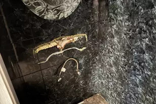 7420 Laurelgrove Ave, North Hollywood, CA 91605 - Photo 5