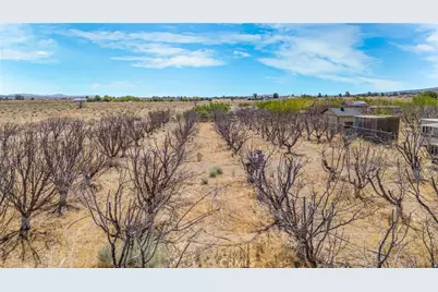 49750 Three Points Road, Lancaster, CA 93536 - Photo 59