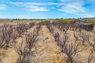 49750 3 Points Rd, Lancaster, CA 93536 - Photo 59