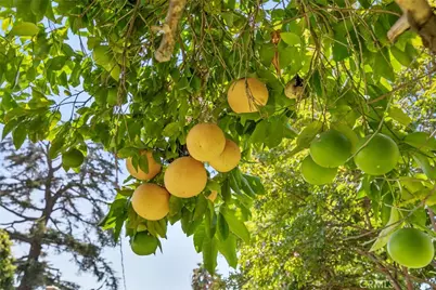 545 Spencer, Glendale, CA 91202 - Photo 21