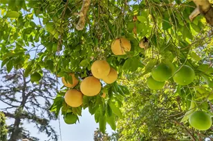 545 Spencer, Glendale, CA 91202 - Photo 21