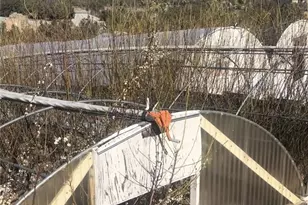 3010 Silver Ridge Dr, Pinon Hills, CA 92372 - Photo 43