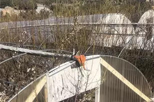 3010 Silver Ridge Dr, Pinon Hills, CA 92372 - Photo 39