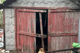 10316 Marcus, Tujunga, CA 91042 - Photo 3