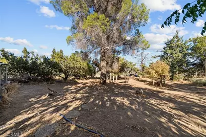 8676 Sky Line Drive, Pinon Hills, CA 92372 - Photo 47