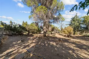 8676 Sky Line Dr, Pinon Hills, CA 92372 - Photo 47