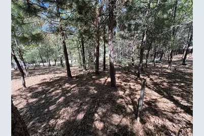 28195 N Bay Road, Lake Arrowhead, CA 92352 - Photo 3