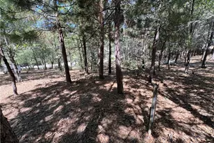 28195 N Bay Rd, Lake Arrowhead, CA 92352 - Photo 3