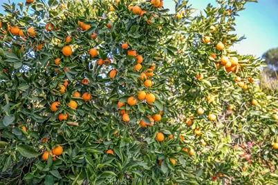 11020 Scoville Avenue, Sunland, CA 91040 - Photo 27